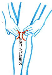 下肢のスリミング・脚の疲れ改善のリンパマッサージ