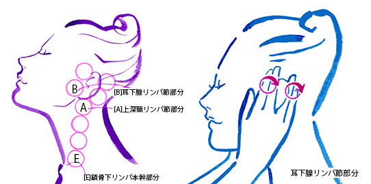 ヘッドスパの耳下腺リンパマッサージ