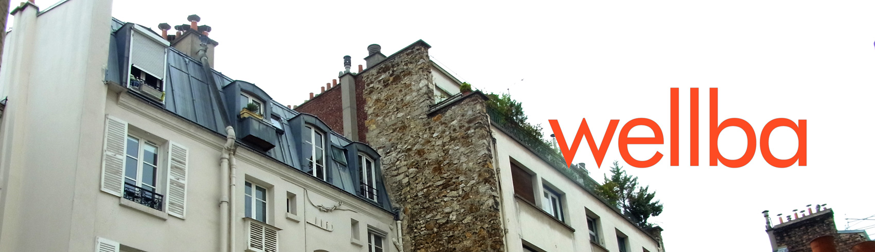 wellba_logo
